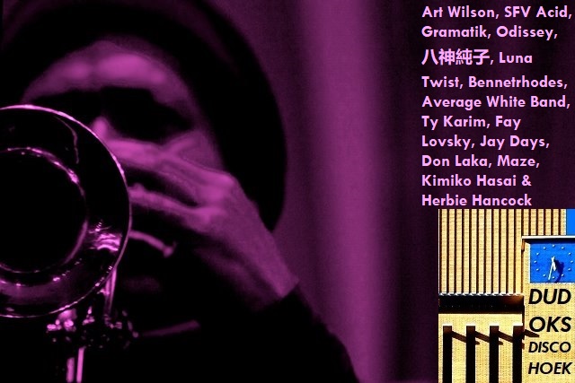 BRAM FABER - DUDOK'S DISCO HOEK 2019-09