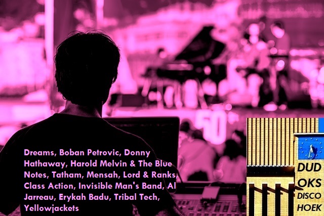 BRAM FABER - DUDOK'S DISCO HOEK 2019-11.jpg